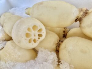 金江津れんこんの写真(茨城県稲敷市)